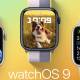 Instructions to upgrade to WatchOS 9 for Apple Watch