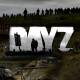 Survival tips in DayZ players need to know