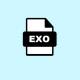 What is an EXO file?