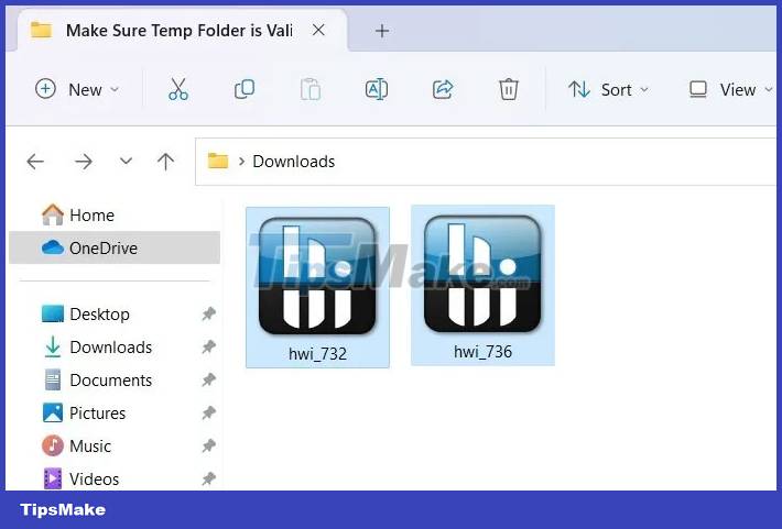 7 methods to fix NSIS 'Make Sure Your Temp Folder Is Valid' error Picture 4