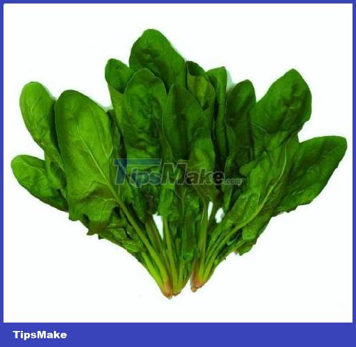 Anti-aging foods Picture 6