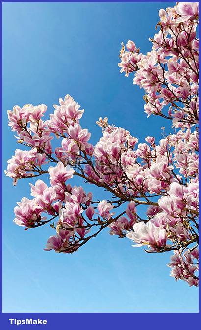 Blue wallpaper, blue background image Picture 12