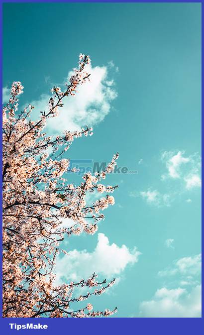 Blue wallpaper, blue background image Picture 20