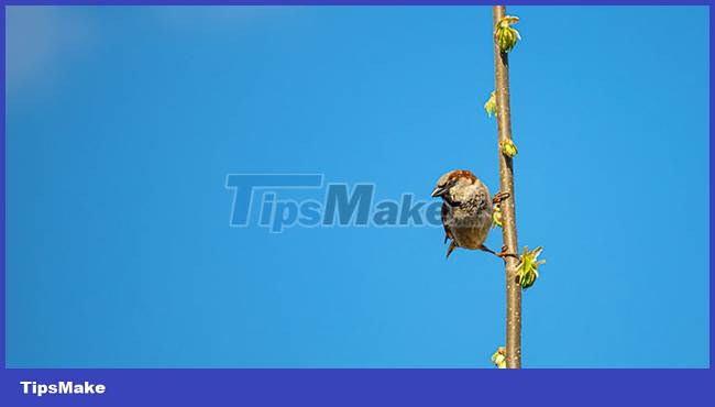 Blue wallpaper, blue background image Picture 28