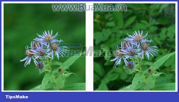 How to adjust aperture and speed on popular digital cameras Picture 2