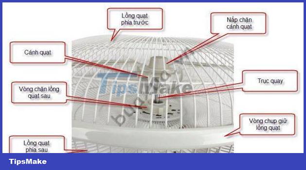 How to clean and maintain common electric fans Picture 2
