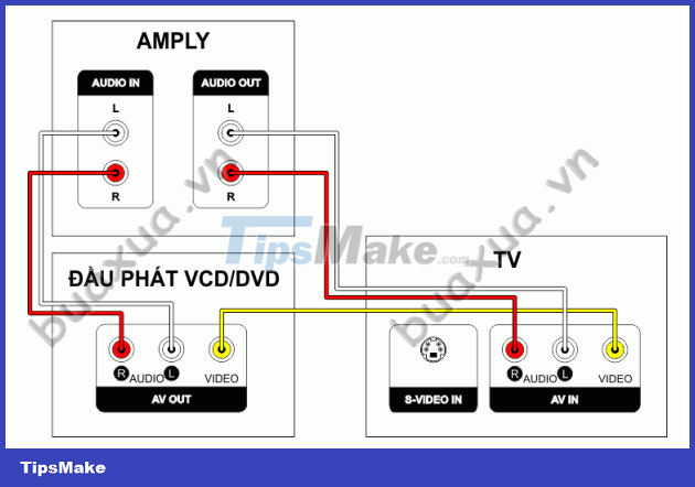 How to connect audio from VCD/DVD player and TV to Amply Picture 4