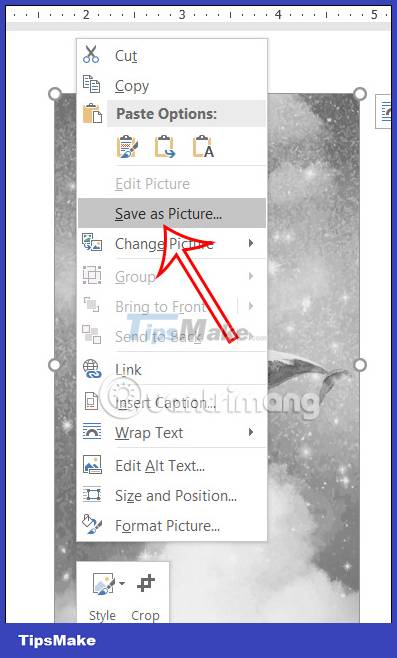 How to create a black and white image in Word is very simple Picture 6