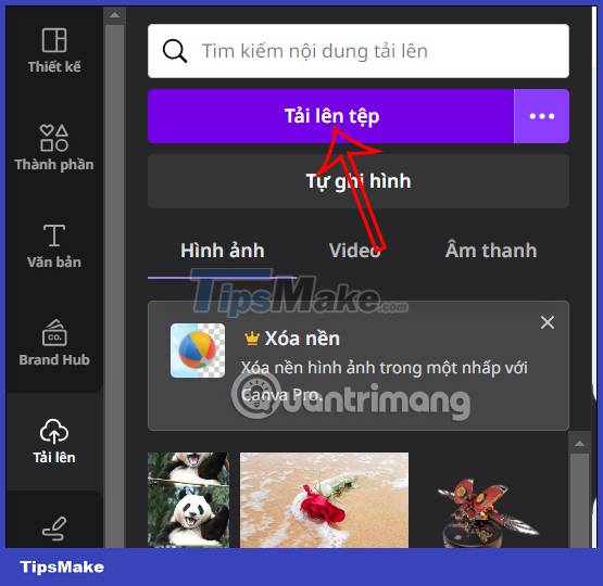 How to crop an image into a circle on Canva Picture 4