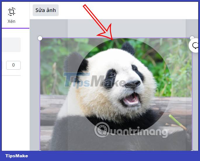 How to crop an image into a circle on Canva Picture 7