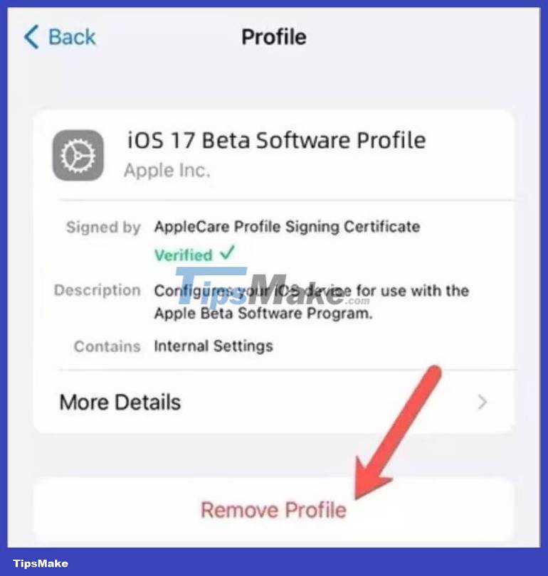 How to downgrade from iOS 17 to iOS 16 without losing data using Tenorshare Reiboot Picture 9