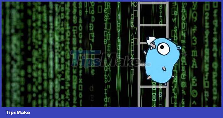 How to generate mock test data using Go Picture 1