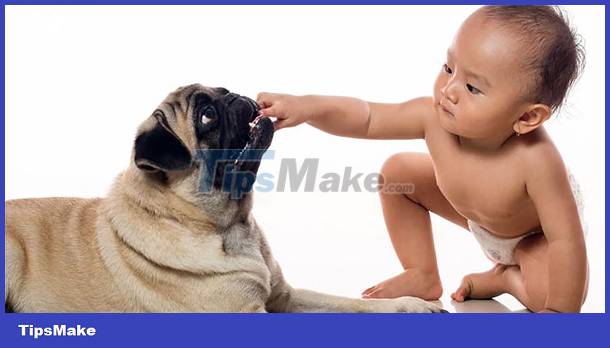 How to give first aid to some common accidents in children Picture 5