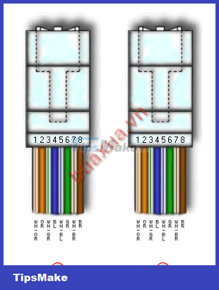 How to press the end of the RJ45 cable to connect to the computer network Picture 4