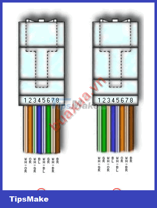 How to press the end of the RJ45 cable to connect to the computer network Picture 5