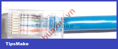 How to press the end of the RJ45 cable to connect to the computer network Picture 7