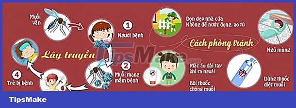 How to prevent and treat dengue fever Picture 4