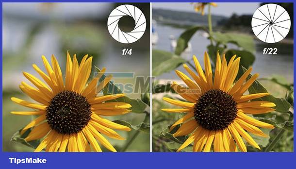 How to take clear digital photos Picture 2