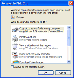 How to transfer pictures from digital camera to computer Picture 10