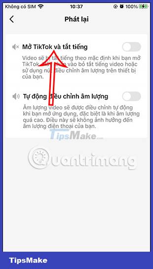 How to turn off video sound when opening TikTok - TipsMake.com