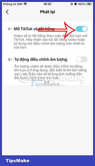 How to turn off video sound when opening TikTok Picture 6