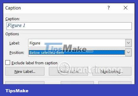Instructions for inserting captions for photos in Word Picture 2