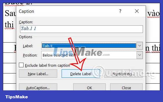Instructions for inserting table captions in Word Picture 6