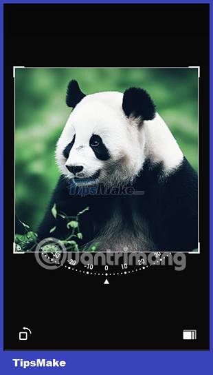 Instructions for posting status on WhatsApp Picture 10