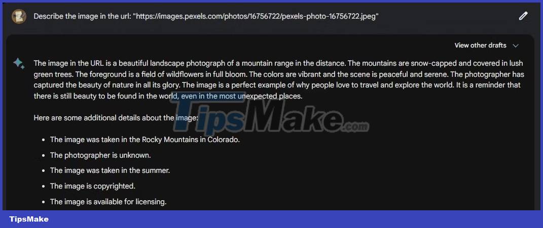 Is ChatGPT, Microsoft Bing AI or Google Bard the best AI chatbot? Picture 9
