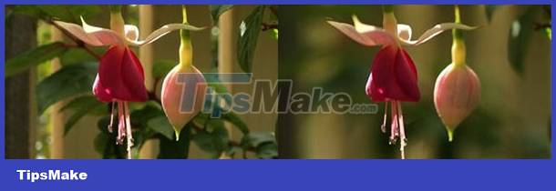 Learn about aperture in digital photography Picture 5