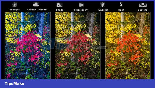 Learn about white balance - White Balance in digital cameras Picture 2