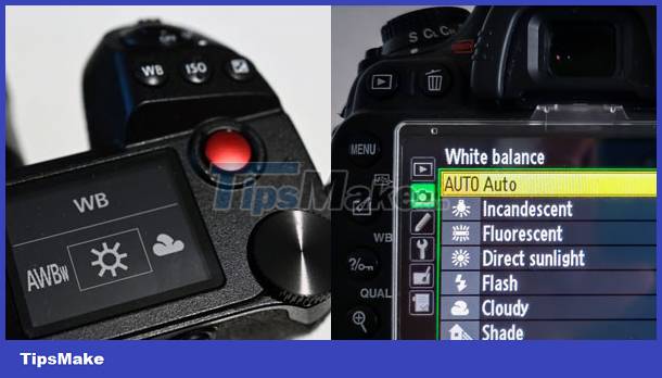 Learn about white balance - White Balance in digital cameras Picture 3