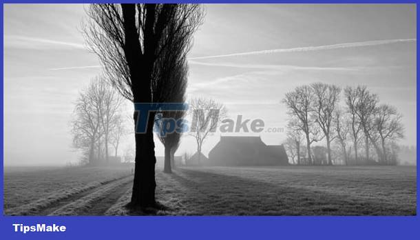 The best iPhone photos, won the 2023 iPhone Photography Award Picture 10