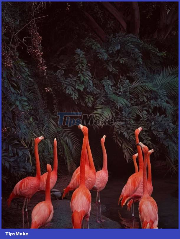 The best iPhone photos, won the 2023 iPhone Photography Award Picture 6