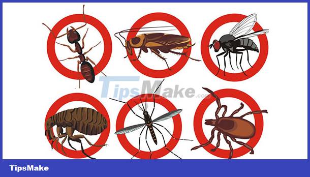 The easiest ways to get rid of insects in the house Picture 1