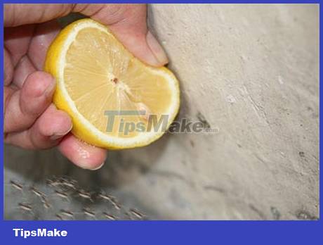 The easiest ways to get rid of insects in the house Picture 2
