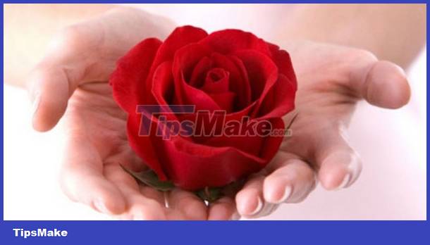 The meaning of the number of roses Picture 1