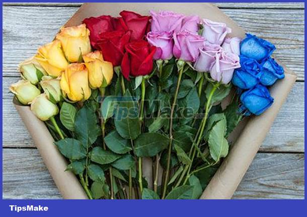 The meaning of the number of roses Picture 2