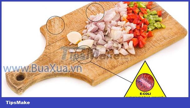 The most commonly exposed bacterial colonies Picture 2