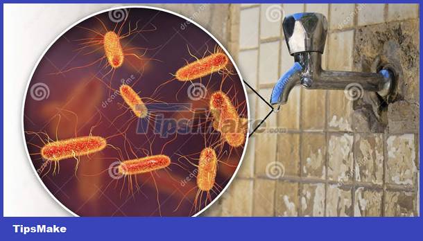 The most commonly exposed bacterial colonies Picture 4