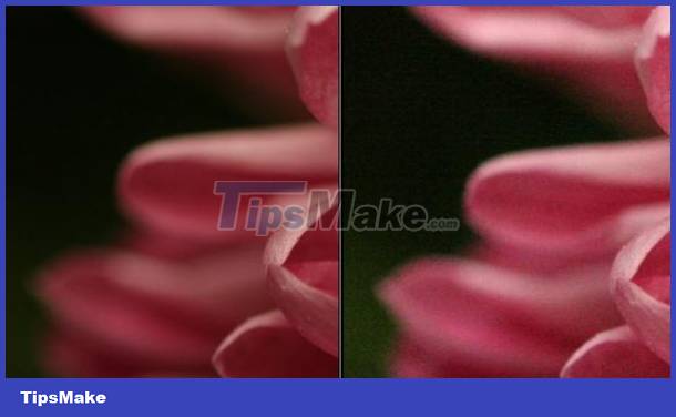 What is ISO in digital photography? Picture 4
