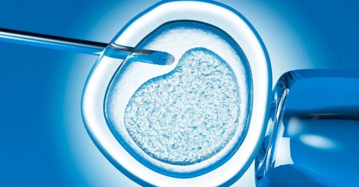 Create Embryos from Stem Cells: Complete Guide