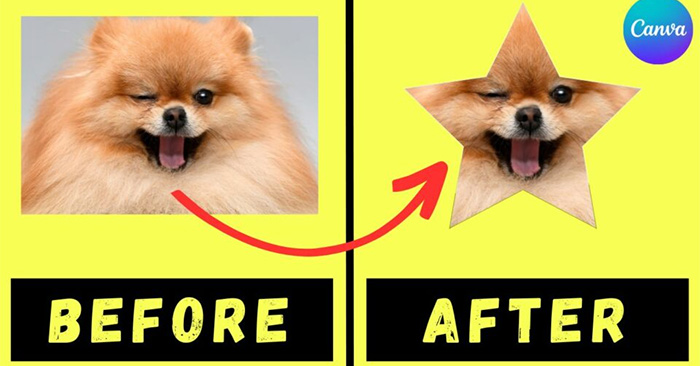 How to Crop an Image into a Circle on Canva