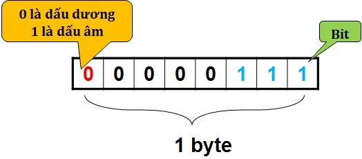 What Do Computers Use Bit Sequences for? Reveal the Answer
