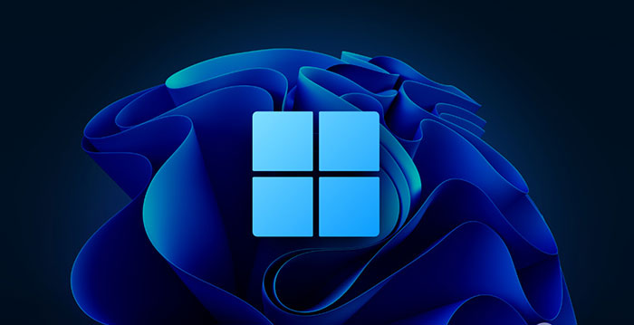 Windows 11: Complete Guide: Frequency Screens