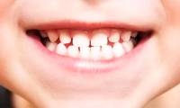 Development of a drug that helps teeth grow back many times