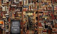 How to create a library book borrowing system in Python