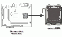 Instructions on how to assemble the CPU into the standard LGA775 . mainboard