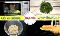 Microwave tips