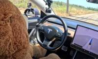 Teddy bears also fool the self-driving system of electric cars